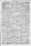Kenilworth Advertiser Saturday 28 December 1901 Page 7