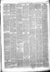 Liverpool Weekly Courier Saturday 17 April 1869 Page 3