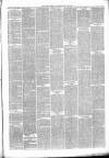 Liverpool Weekly Courier Saturday 05 June 1869 Page 3