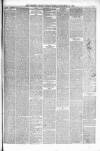 Liverpool Weekly Courier Saturday 26 December 1874 Page 5