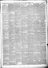 Liverpool Weekly Courier Saturday 21 December 1878 Page 3