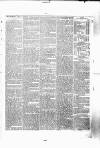 Northern Weekly Gazette Friday 14 February 1868 Page 3