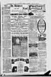 Northern Weekly Gazette Saturday 25 April 1896 Page 15