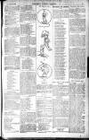 Northern Weekly Gazette Saturday 26 January 1901 Page 17