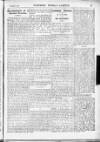 Northern Weekly Gazette Saturday 07 December 1901 Page 21