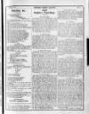 Northern Weekly Gazette Saturday 27 August 1910 Page 35