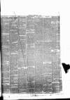Pontypridd District Herald Saturday 09 February 1878 Page 7