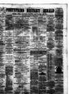 Pontypridd District Herald Saturday 25 May 1878 Page 1