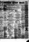 Pontypridd District Herald Saturday 20 July 1878 Page 1