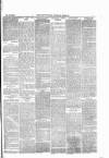 Pontypridd District Herald Saturday 29 November 1879 Page 3