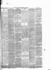 Pontypridd District Herald Saturday 20 December 1879 Page 3