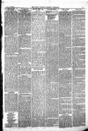 Pontypridd District Herald Saturday 03 January 1880 Page 3