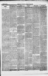 Pontypridd District Herald Saturday 17 January 1880 Page 3