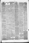 Pontypridd District Herald Saturday 24 January 1880 Page 3