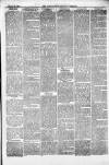 Pontypridd District Herald Saturday 13 March 1880 Page 3