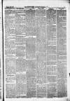 Pontypridd District Herald Saturday 20 March 1880 Page 3