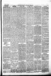 Pontypridd District Herald Saturday 03 April 1880 Page 3