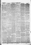 Pontypridd District Herald Saturday 10 April 1880 Page 3