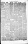 Pontypridd District Herald Saturday 17 April 1880 Page 3