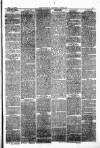 Pontypridd District Herald Saturday 08 May 1880 Page 3