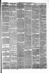 Pontypridd District Herald Saturday 29 May 1880 Page 3
