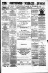 Pontypridd District Herald Saturday 12 June 1880 Page 1