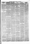 Pontypridd District Herald Saturday 26 June 1880 Page 3