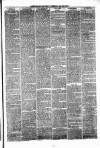 Pontypridd District Herald Saturday 24 July 1880 Page 3