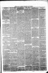 Pontypridd District Herald Saturday 31 July 1880 Page 3