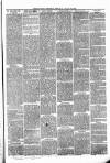Pontypridd District Herald Saturday 28 August 1880 Page 3