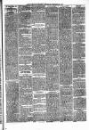 Pontypridd District Herald Saturday 11 September 1880 Page 3
