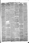 Pontypridd District Herald Saturday 02 October 1880 Page 3
