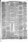Pontypridd District Herald Saturday 09 October 1880 Page 3