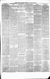 Pontypridd District Herald Saturday 27 November 1880 Page 3