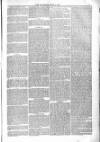 Poole Telegram Friday 06 June 1879 Page 5
