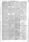Poole Telegram Friday 06 June 1879 Page 7