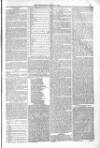 Poole Telegram Friday 20 June 1879 Page 5