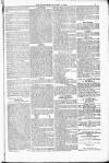 Poole Telegram Friday 02 January 1880 Page 7