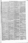 Poole Telegram Friday 16 January 1880 Page 7
