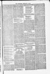 Poole Telegram Friday 13 February 1880 Page 5