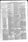 Poole Telegram Friday 13 February 1880 Page 7