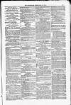 Poole Telegram Friday 13 February 1880 Page 11