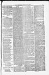 Poole Telegram Friday 20 February 1880 Page 9