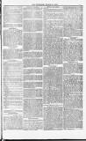 Poole Telegram Friday 12 March 1880 Page 5