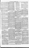 Poole Telegram Friday 12 March 1880 Page 7