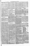 Poole Telegram Friday 16 July 1880 Page 7