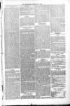 Poole Telegram Friday 21 January 1881 Page 7