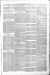 Poole Telegram Friday 04 March 1881 Page 5