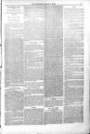 Poole Telegram Friday 04 March 1881 Page 7