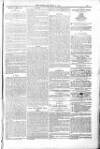 Poole Telegram Friday 08 April 1881 Page 13